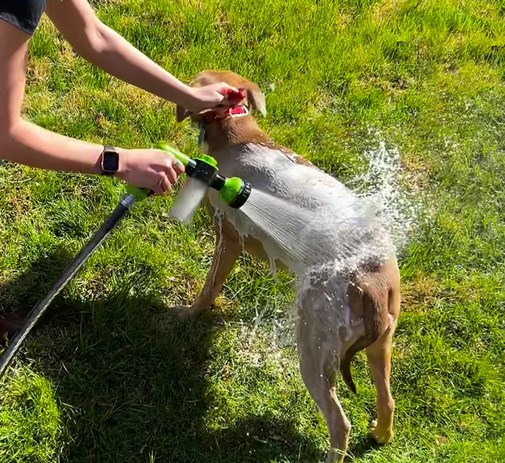 Dog Washer